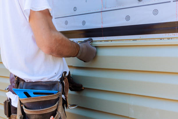 Best Custom Trim and Detailing for Siding  in Detroit, MI